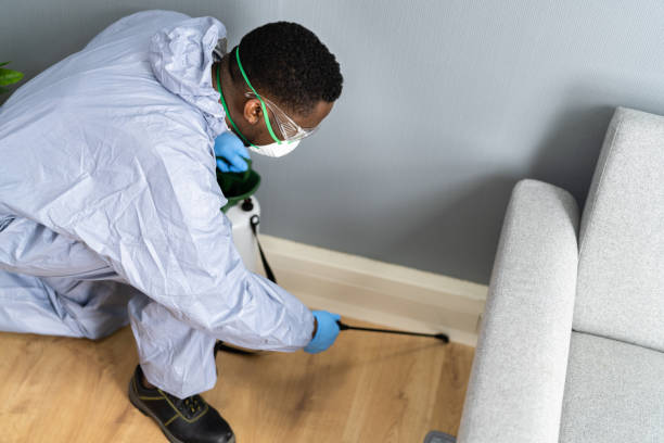 Trusted Dry Run, OH Pest Control Experts